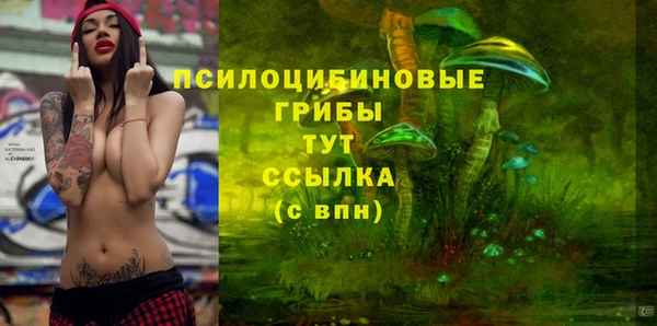 герыч Абаза