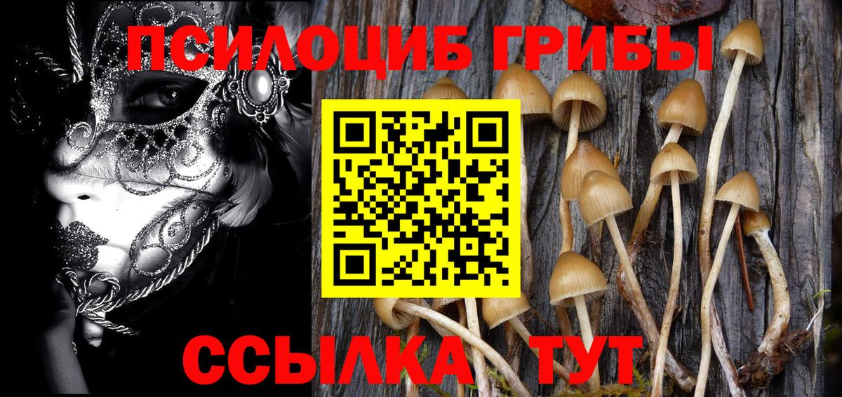 Псилоцибиновые грибы прущие грибы Ярославль