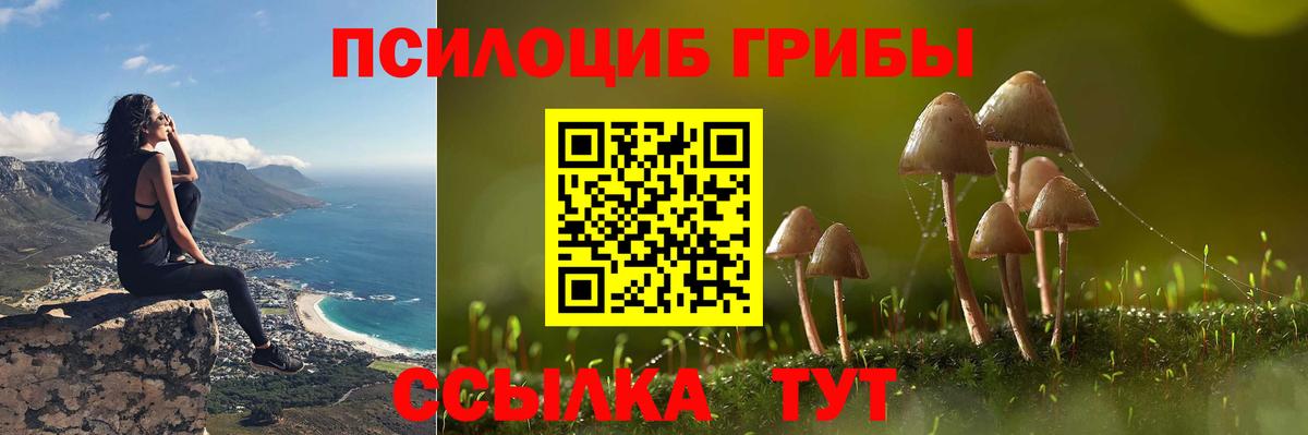 Ярославль  Галлюциногенные грибы Cubensis  купить   Галлюциногенные грибы GOLDEN TEACHER  Вход с VPN 
